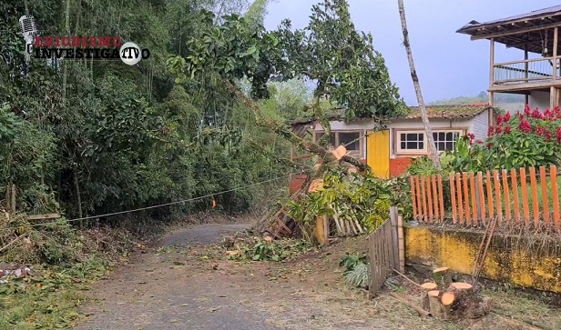 La tala inapropiada de un árbol de zapotes en la vereda de Quebradanegra puso en riesgo una vivienda