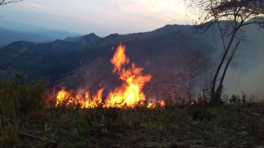 Alerta roja y naranja en vista de incendios forestales en Colombia