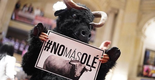 Senado aprueba proyecto de Ley que prohíbe corridas de toros en Colombia